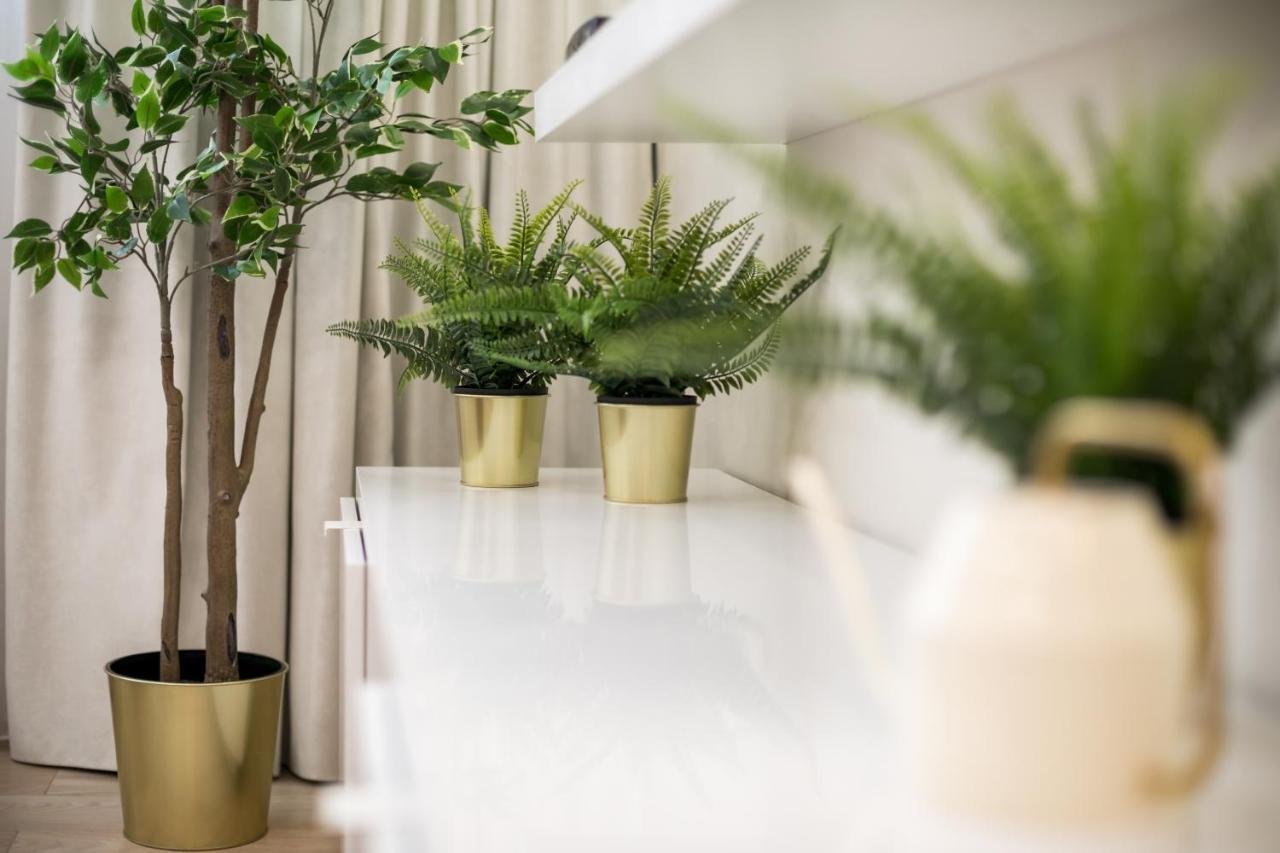 Raugyklos Apartamentai วิลนีอุส ภายนอก รูปภาพ